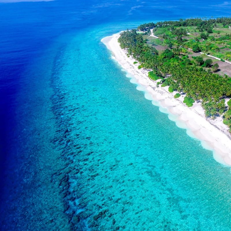 Fuvahmulah reef and marine life