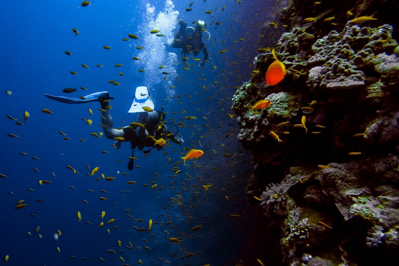 Maanayre Discovery - Fuvahmulah