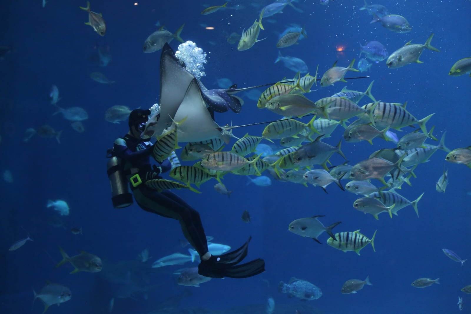 Havitta Fannho Adventure - Fuvahmulah